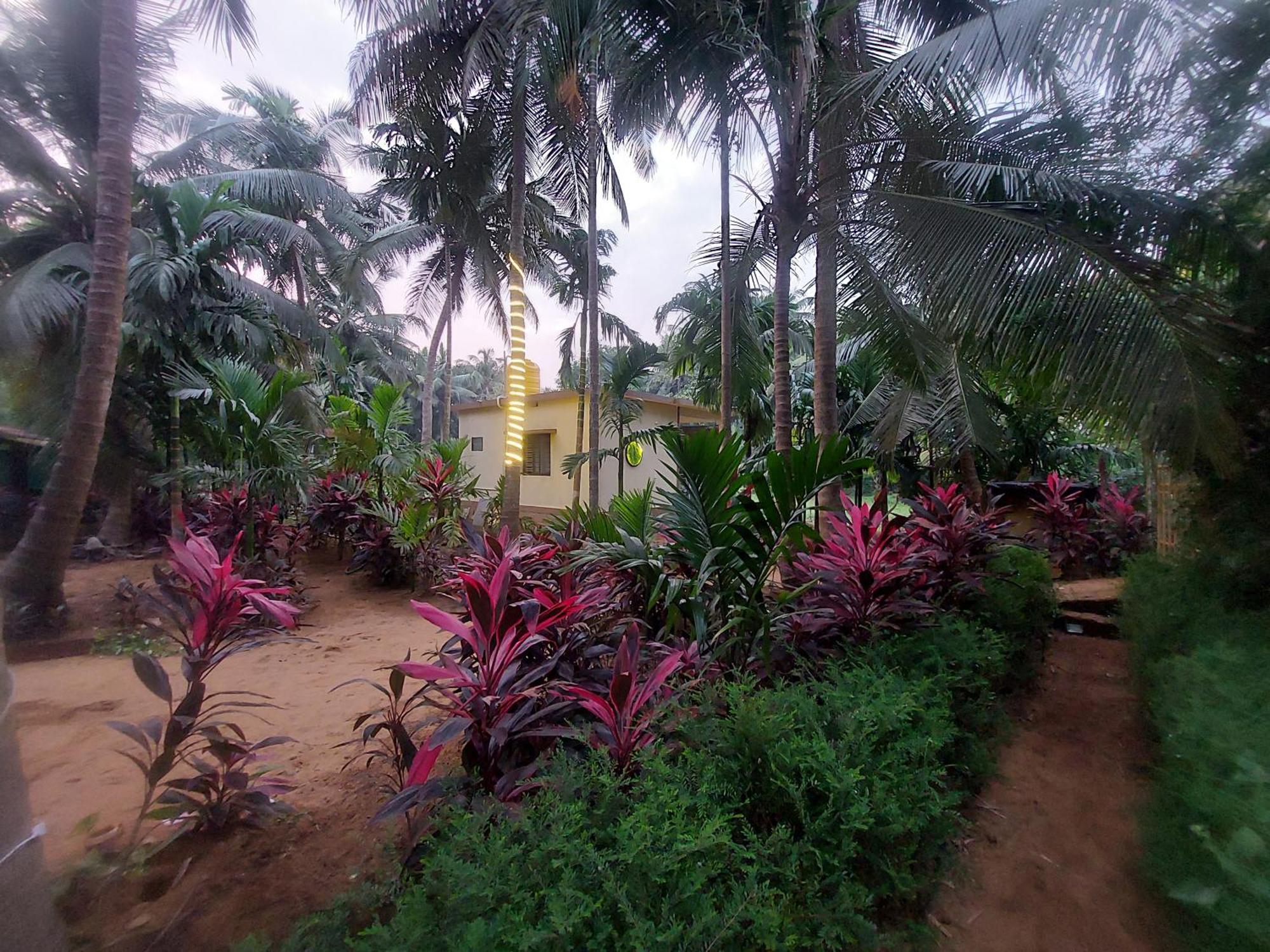 Areca Nest Villa Gokarna  Exterior photo