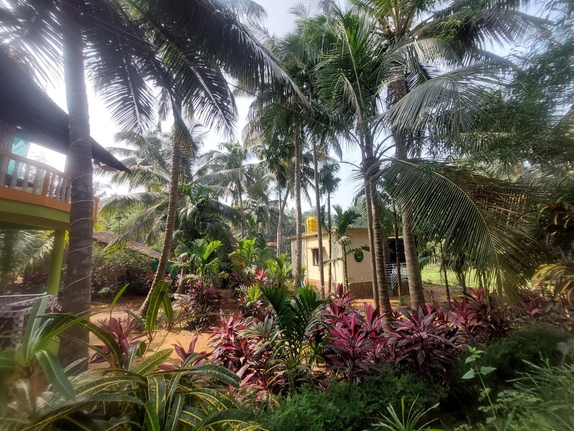 Areca Nest Villa Gokarna  Exterior photo